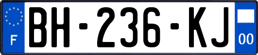 BH-236-KJ