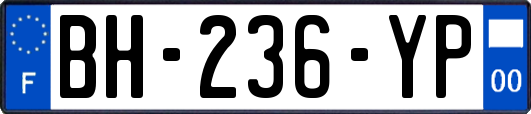 BH-236-YP