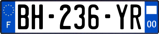 BH-236-YR