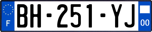 BH-251-YJ