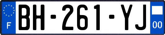 BH-261-YJ