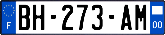 BH-273-AM