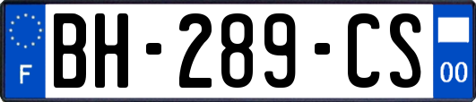 BH-289-CS