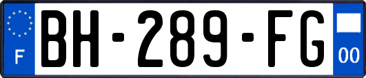 BH-289-FG