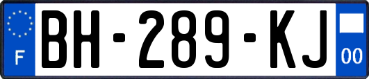 BH-289-KJ