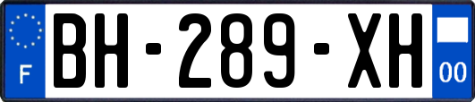 BH-289-XH