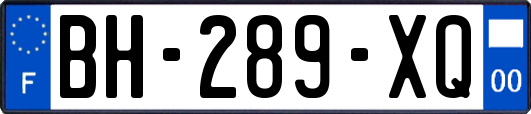 BH-289-XQ