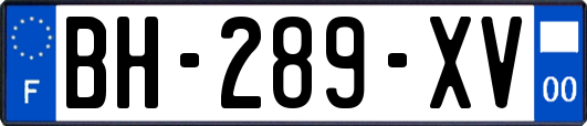 BH-289-XV