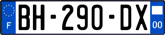 BH-290-DX