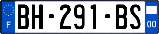 BH-291-BS