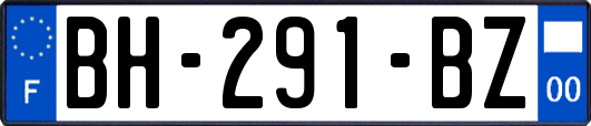 BH-291-BZ