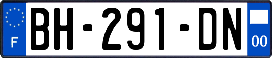 BH-291-DN