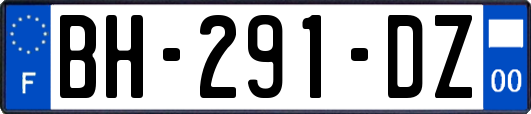 BH-291-DZ