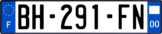 BH-291-FN
