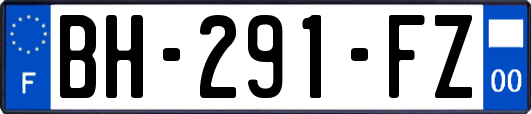 BH-291-FZ