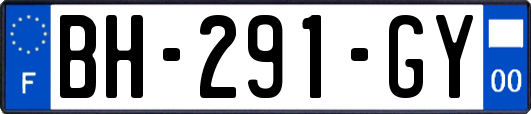 BH-291-GY