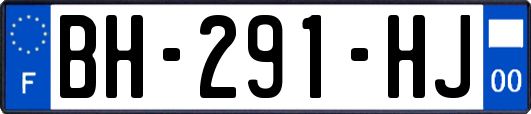 BH-291-HJ