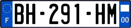 BH-291-HM