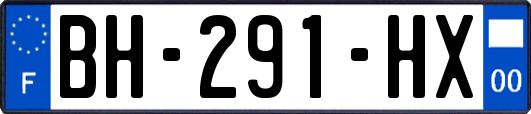 BH-291-HX