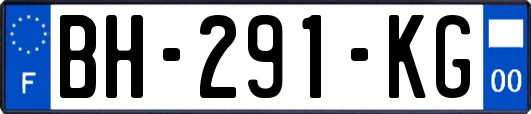 BH-291-KG