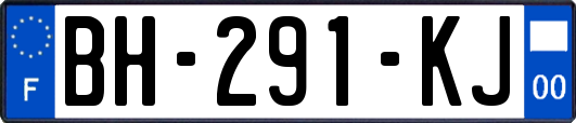 BH-291-KJ