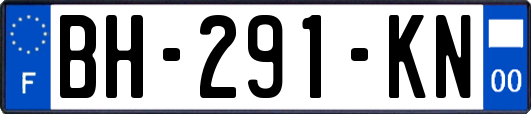 BH-291-KN