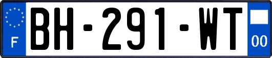 BH-291-WT