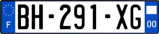 BH-291-XG