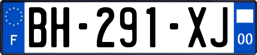 BH-291-XJ