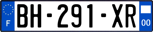 BH-291-XR