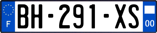 BH-291-XS