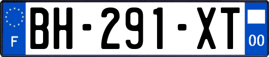 BH-291-XT