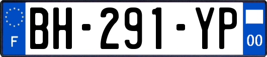 BH-291-YP