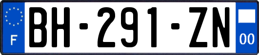 BH-291-ZN