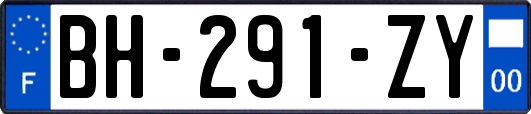 BH-291-ZY