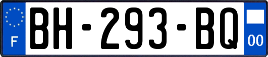 BH-293-BQ