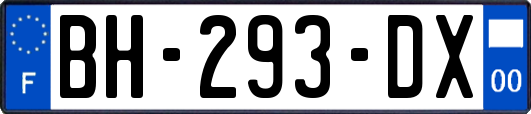 BH-293-DX