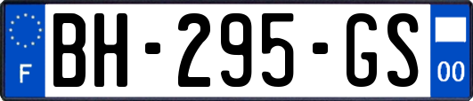 BH-295-GS