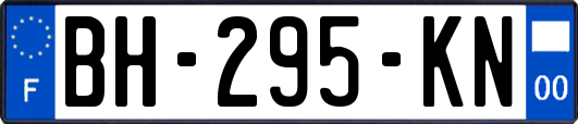 BH-295-KN