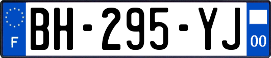 BH-295-YJ