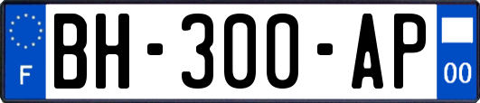 BH-300-AP