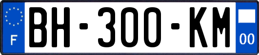 BH-300-KM