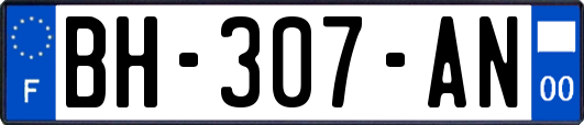 BH-307-AN