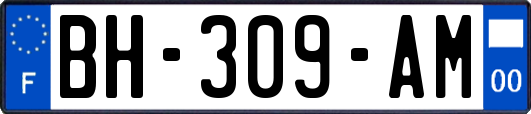 BH-309-AM