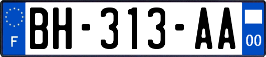 BH-313-AA