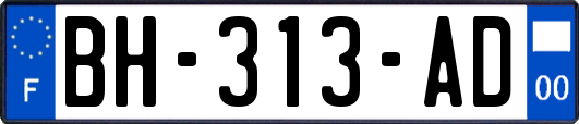 BH-313-AD