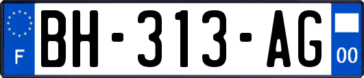 BH-313-AG