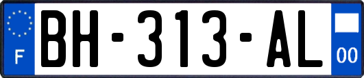 BH-313-AL