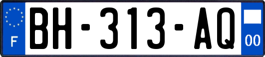 BH-313-AQ