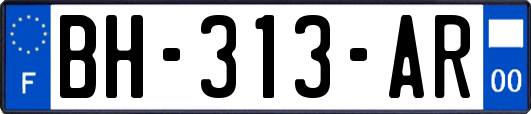 BH-313-AR